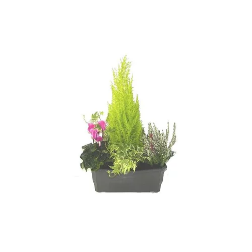 Jardin complet:Jardinière pour columbarium - La jardinière de 30 cm