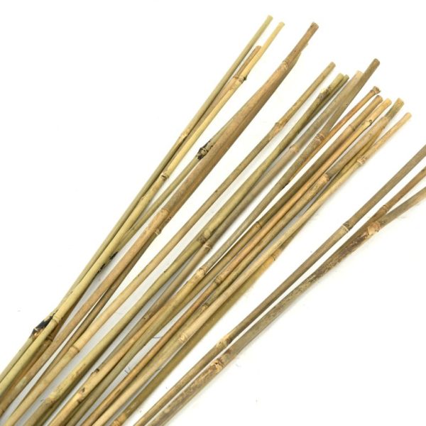 Tuteurs en bambou naturel (Lot de 20)