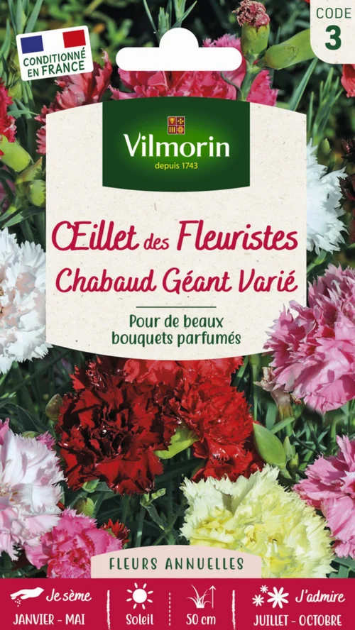 La solution pour vos extérieurs:Œillets des fleuristes Chabaud Géant Varié Vilmorin - graines à semer