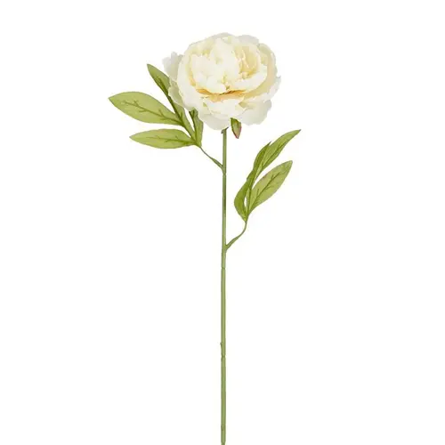 Choix jardin：Tige de pivoine artificielle en plastique recyclé crème - 67 cm