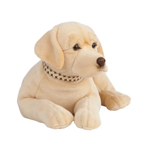 Jardin & pratique：Labrador Living Nature - 60 cm