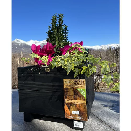 Vie dehors：Contenant carré coloris noir en bois certifié FSC® - 36 x 36 x 28,5 cm