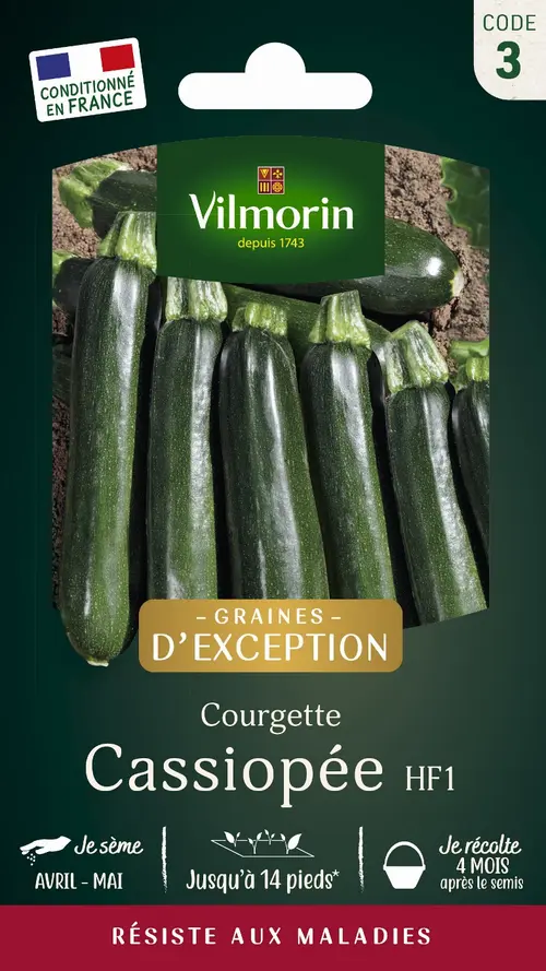 Jardin & idées：Graines de courgette cassiopee coloris vert Vilmorin jardin - graines à semer