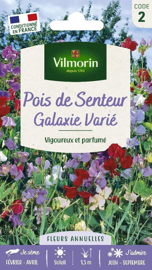 Solution utile:Graines de Pois de senteur Galaxie varié Vilmorin - graines à semer