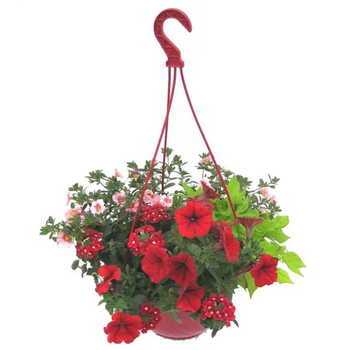 Esprit jardin：Suspension anglaise - La suspension diam 27 cm
