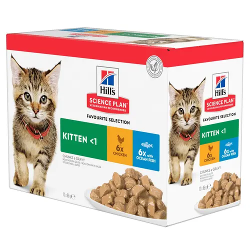 Au service de vos extérieurs：Pâtée féline kitten multipack 12 x 85 g