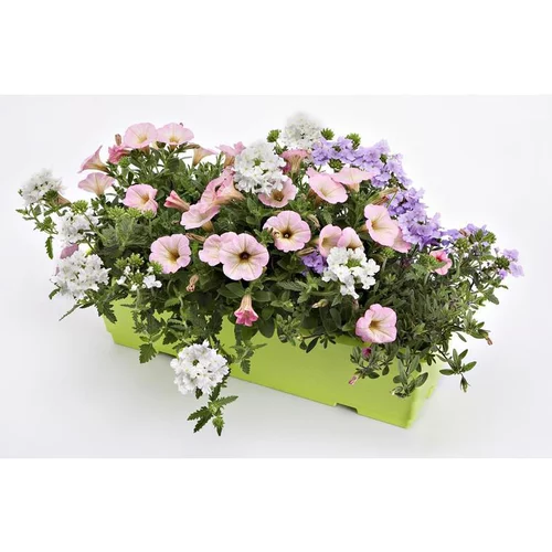 Espace vert utile:Jardinière d'extérieur - La jardinière de 40 cm