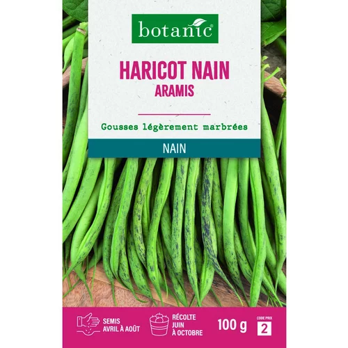 Style extérieur：Graines de haricot nain aramis extra-fin sans fil botanic® - graines à semer