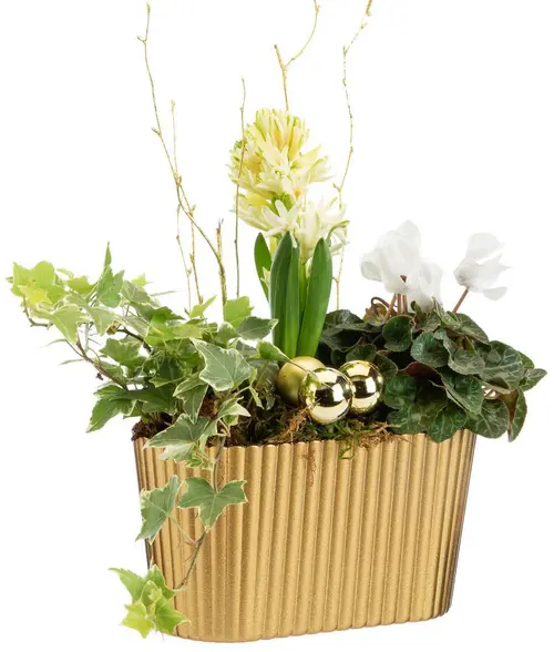 Extérieur loisirs:Composition de plantes pot doré festif Pagode or - 20 cm
