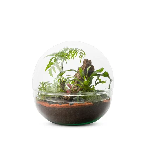 Pour compléter votre espace extérieur:Terrarium Bulle de Nature Mini Monde en verre transparent Naturalys taille L - Ø 27 x 27 cm