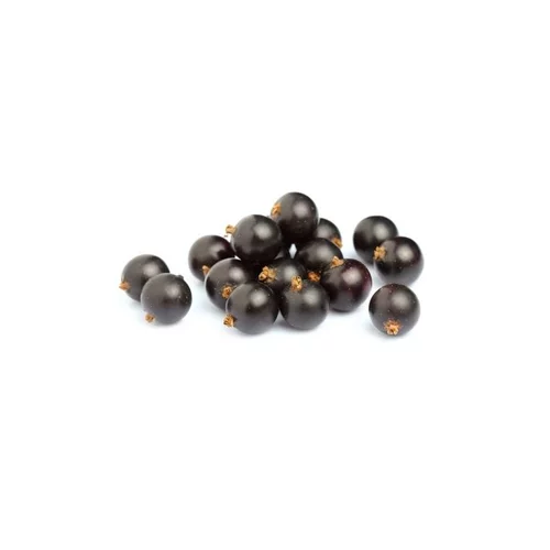 Le choix jardin:Cassis bio de France - Barquette 125 g