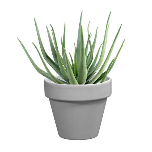 Pour la maison et le jardin:Pot horticole émaillé gris Ø 10 cm