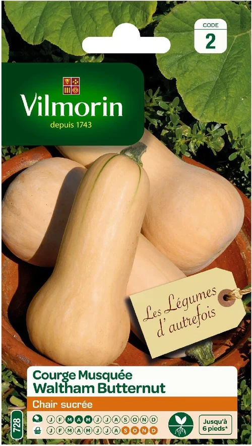 L’essentiel pour l’extérieur:Courge Musquée Waltham Butternut Vilmorin - graines à semer