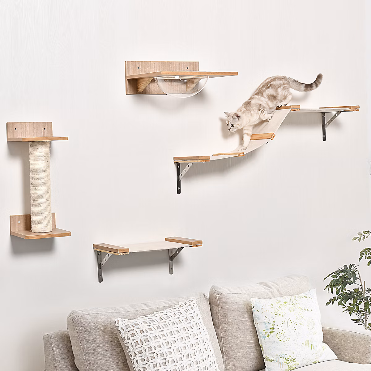 Ensemble mural pour chat en pin marron avec griffoir et hamac | Chat