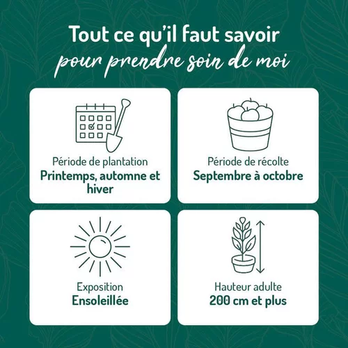 Pour tous les jours:Vigne Danlas. Le pot de 2 litres