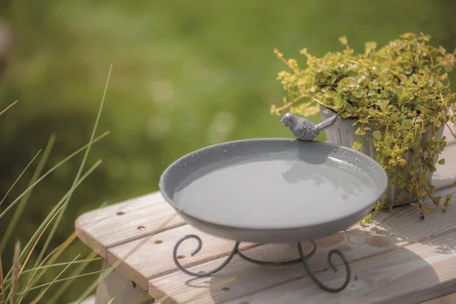Extérieur facile:Abreuvoir mangeoire pour oiseaux en métal à poser au sol Trixie - 800 ml