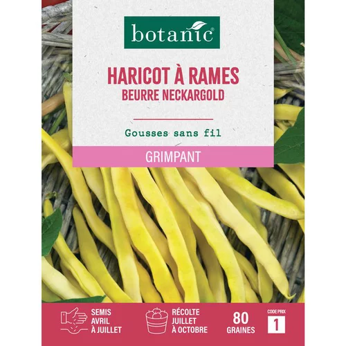 Bien pensé extérieur：Graines d'haricot à rames beurre neckargold botanic® - graines à semer