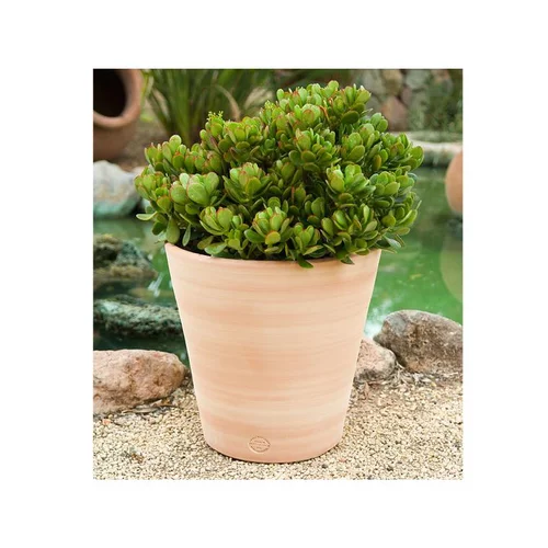 Extérieur accessoire：Pot Vaso lisse D27x H27