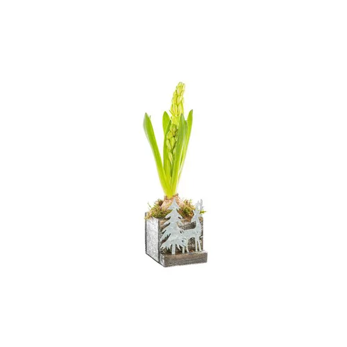 Utile extérieur：Jacinthe X1 Carre Foret Bois Argent