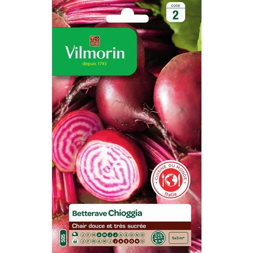 Jardin simple:Graines de betterave chioggia Vilmorin - graines à semer