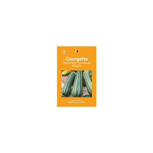 Confort pour le jardin：Graines de courgette verte non coureuse d'Italie sélection premier prix - graines à semer
