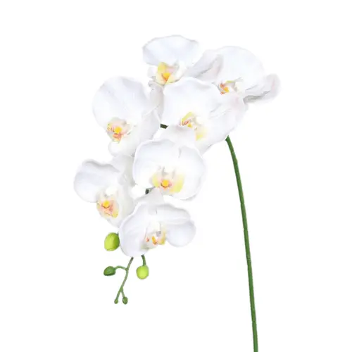 Une solution pour le jardin:Orchidée Phalaenopsis artificielle à 7 fleurs crème - 38 cm
