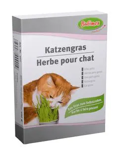 Jardin expert:Herbe à chat Bubimex
