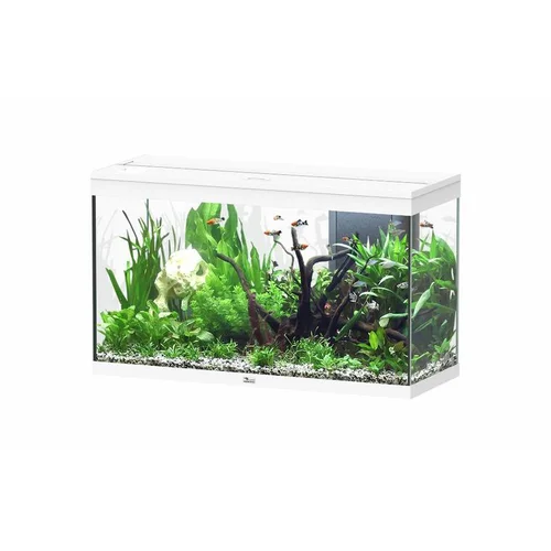 Essentiel au jardin:Aquarium 202 litres équipé LED 2.0 et filtre Aquatlantis Splendid blanc - 100 x 40 x 61 cm