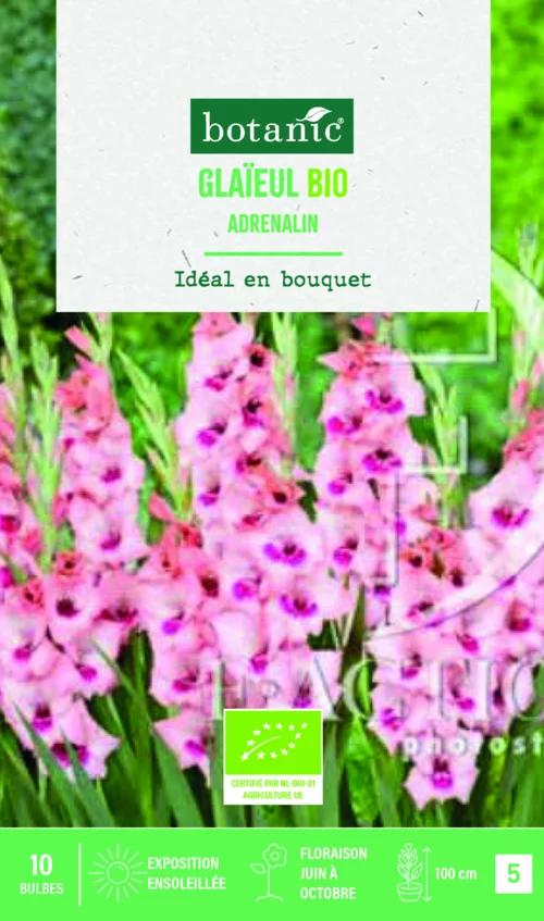 Un choix pratique pour le jardin：Bulbes de fleurs Glaïeul grandes fleurs Adrenaline bio botanic® - 10 bulbes