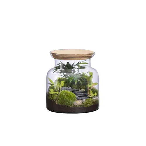 Le compagnon de vos extérieurs:Terrarium autonome Jungle Landscape botanic® - taille S