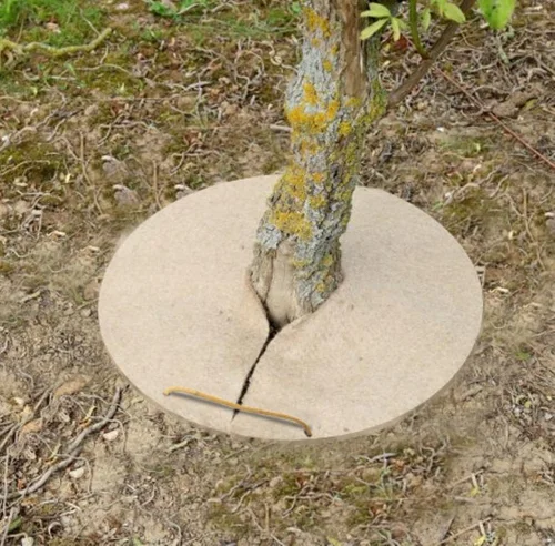 Ambiance jardin：Cercle de chanvre coloris beige 800gr/m² - Ø 20 cm