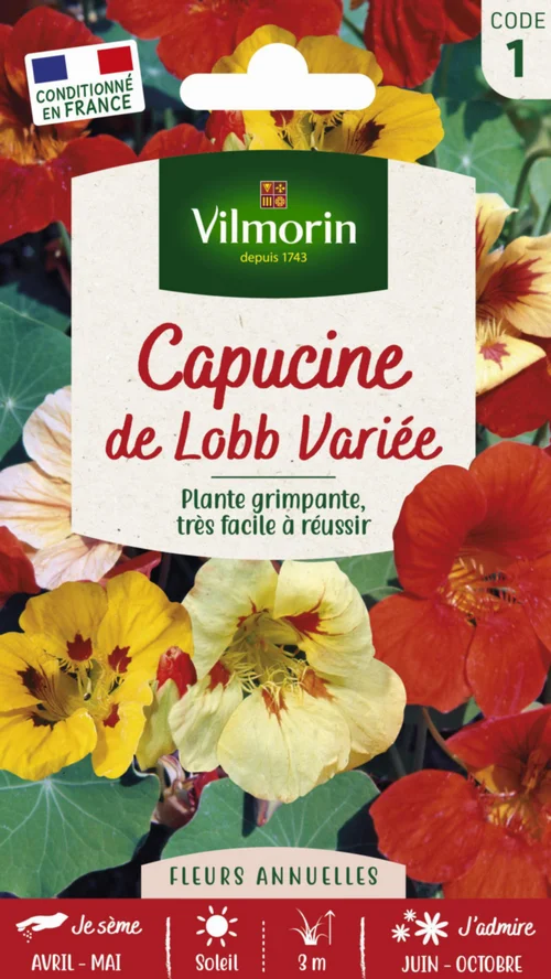 Mieux dehors:Graines de Capucine de Lobb variée Vilmorin - graines à semer