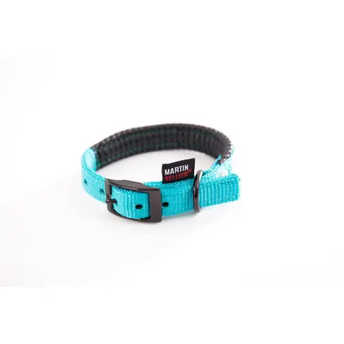 Style nature：Collier droit Confort pour chien coloris turquoise - 1,6x35 cm