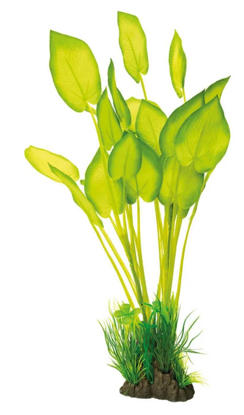 Jardin durable:Plante artificielle pour aquarium ou terrarium coloris vert Echinodorus SuperFish Art Plant L - 40 cm