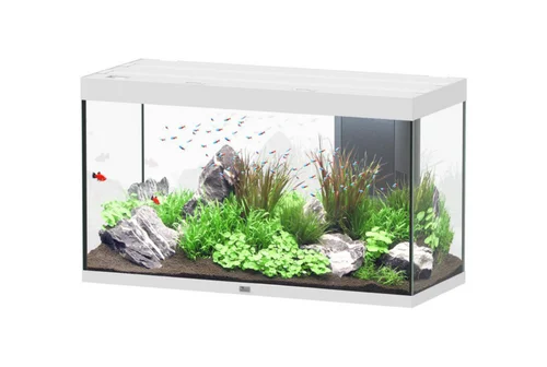 Bien pensé jardin：Aquarium coloris blanc Aquatlantis Sublime Ultra LED 2.0 333 L - 120 x 50 x 70 cm