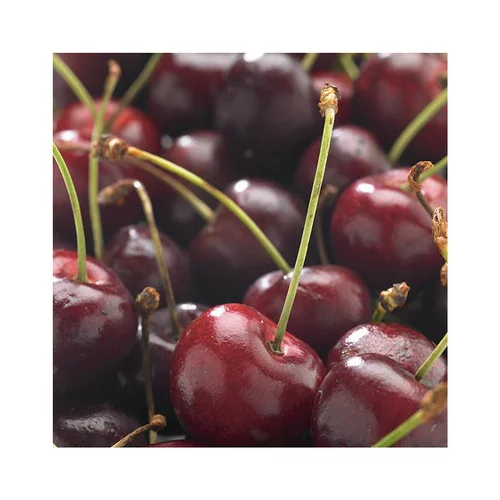 Nature pour le jardin:Cerisier Big. De La St Jean ® Gardel. En racine nue, forme scion