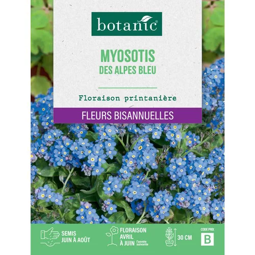 Pratique jardin:Graines de fleurs de Myosotis des Alpes bleu botanic®