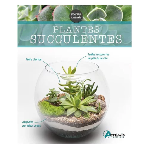 Durable au jardin：Plantes succulentes