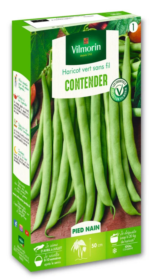 Le petit plus du jardin：Haricot Vert Contender Vilmorin - graines à semer