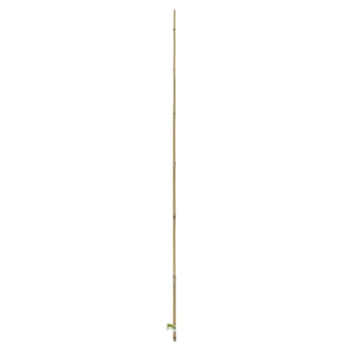 Pour votre extérieur:Tuteur bambou naturel coloris beige H 1,80m x Ø 10-12 mm