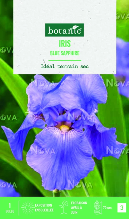 Jardin et nature：Bulbe de fleurs Iris Germanica Blue Sapphire botanic® - 1 bulbe