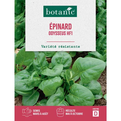 Pratique au jardin:Graines d'épinard odysseus HF1 botanic® - graines à semer