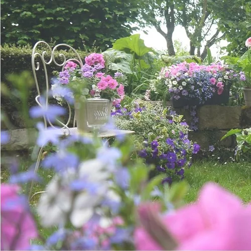 Pour vos jardins:Thème Romantique - Le pot de 12 cm