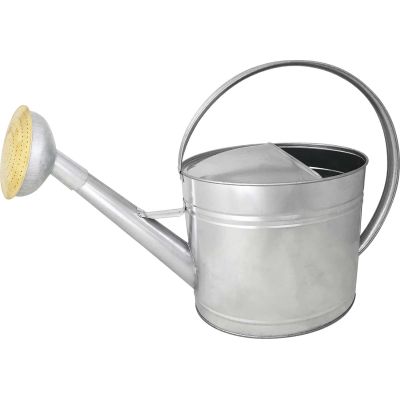 Arrosoir en acier galvanisé avec pomme et grille en laiton (13 litres)