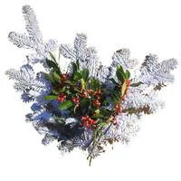 Jardin durable:Bouquet de branches de sapin enneigé et de houx vert, rouge et blanc pour décoration de Noël