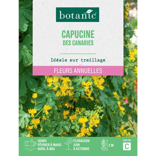 Pour tous les jardins：Graines de fleurs de Capucine des canaries botanic®