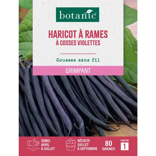 Jardin à adopter：Graines d'haricot à rames à cosses violettes botanic® - 80 graines à semer