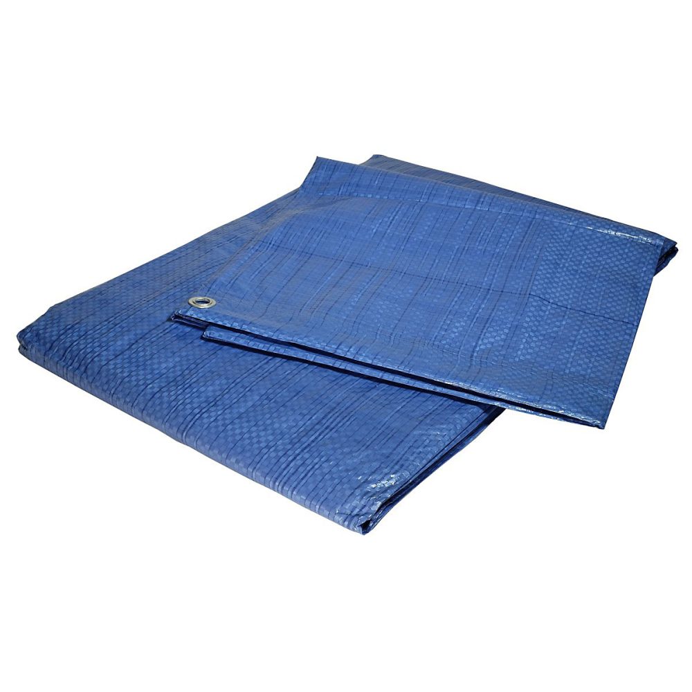 Bâche de jardin 8 × 12 m Bleue et verte Polyéthylène 80g/m²
