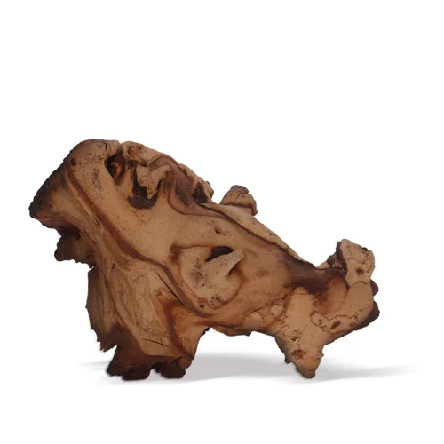 À avoir au jardin：Racine décorative pour aquarium ou terrarium coloris marron Aquavie Mopani - Taille PM+