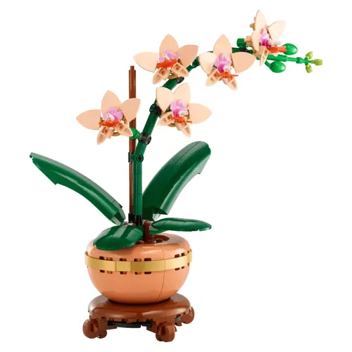 Jardin moderne:Orchidée miniature LEGO® Botanical Collection 18 ans et plus - 608 pièces